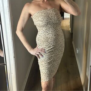 White House Black Market Champagne Ivory Cream Strapless lace Bodycon Dress
